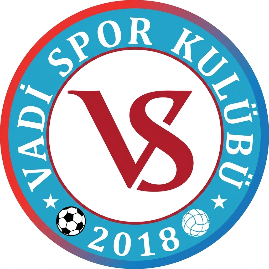 Vadispor HD Logo