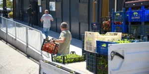 Bornova’da 20 dönümlük tarladan sosyal destek