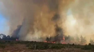 Muğla'da orman yangını büyüyor: Ula'ya ulaştı