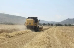 Tarım-ÜFE ağustosta yüzde 0,93 geriledi